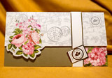 invitatii clara 2016