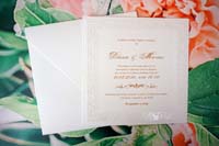 invitatii butiqline