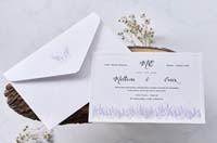 invitatii butiqline
