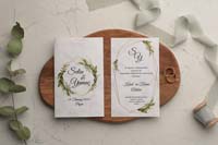 invitatii ekonom
