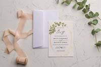 invitatii ekonom