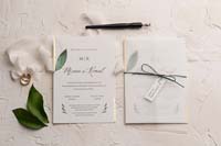 invitatii ekonom