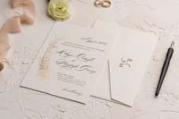 invitatii ekonom