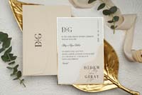 invitatii ekonom