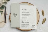 invitatii ekonom