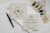 invitatii ekonom