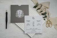 invitatii ekonom