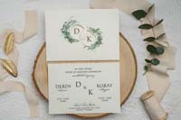 invitatii ekonom