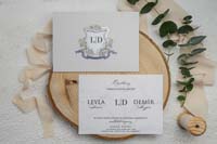 invitatii ekonom