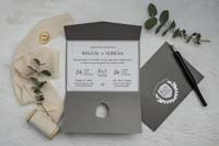 invitatii ekonom