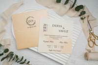 invitatii ekonom