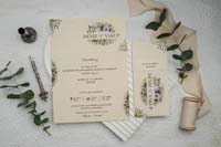 invitatii ekonom