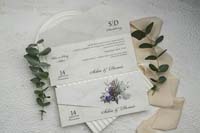 invitatii ekonom