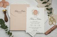 invitatii ekonom