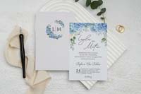 invitatii ekonom