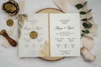 invitatii ekonom