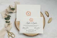 invitatii ekonom