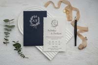 invitatii ekonom