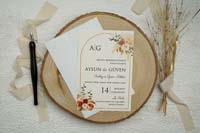 invitatii ekonom