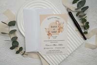 invitatii ekonom