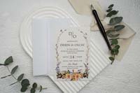 invitatii ekonom
