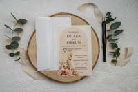 invitatii ekonom