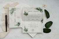 invitatii ekonom