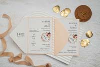 invitatii ekonom