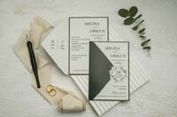 invitatii ekonom