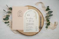 invitatii ekonom
