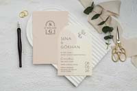 invitatii ekonom
