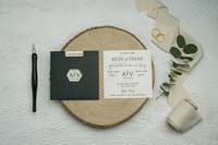 invitatii ekonom
