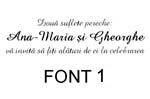 text1