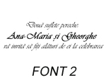 text1