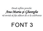text1