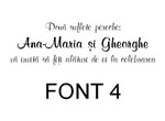 text1