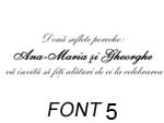 text1