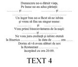 txt4
